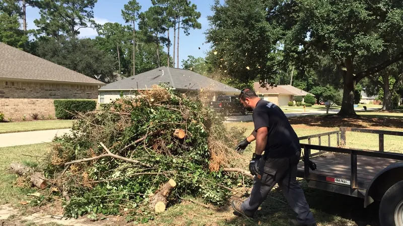 Brush Removal in Spring, TX